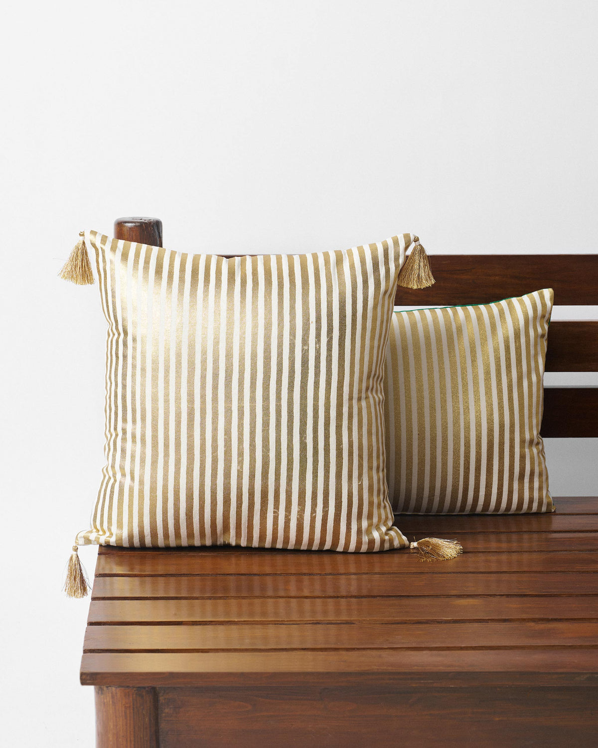 Dragonfly Dream Cushion Cover