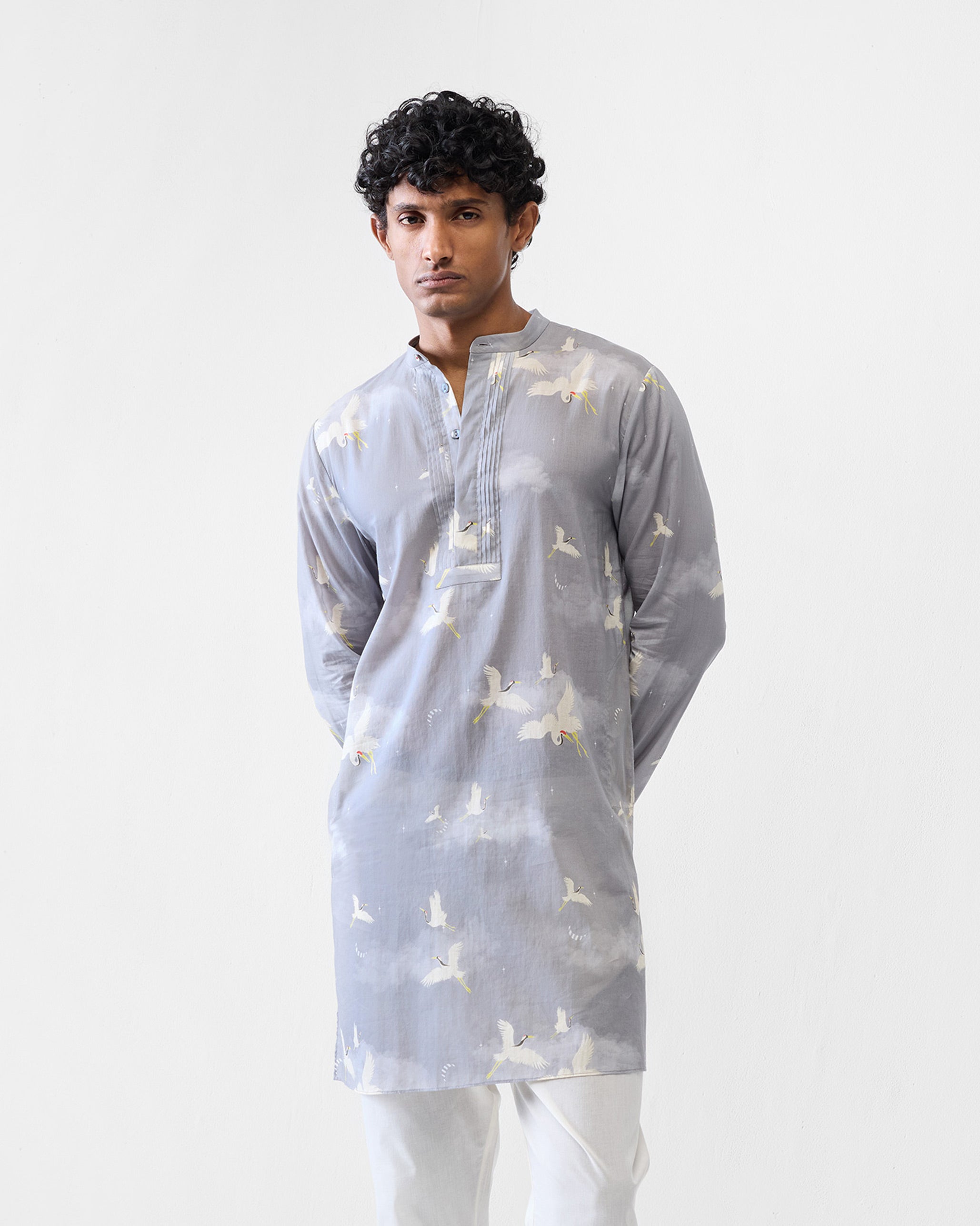 Front Pleat Kurta - Light Grey Printed