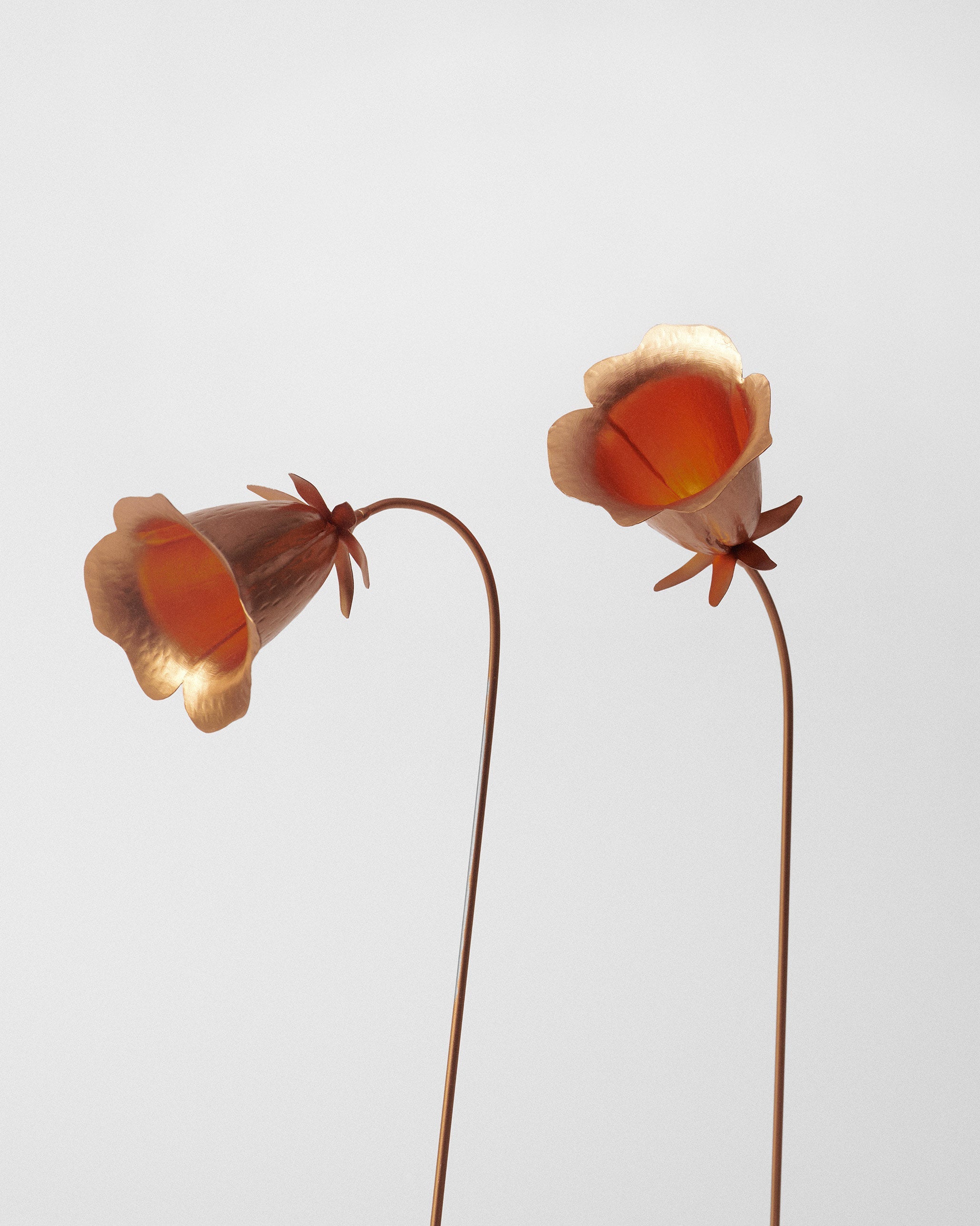 Dusk Accent - Set of 2 - TSSxNB