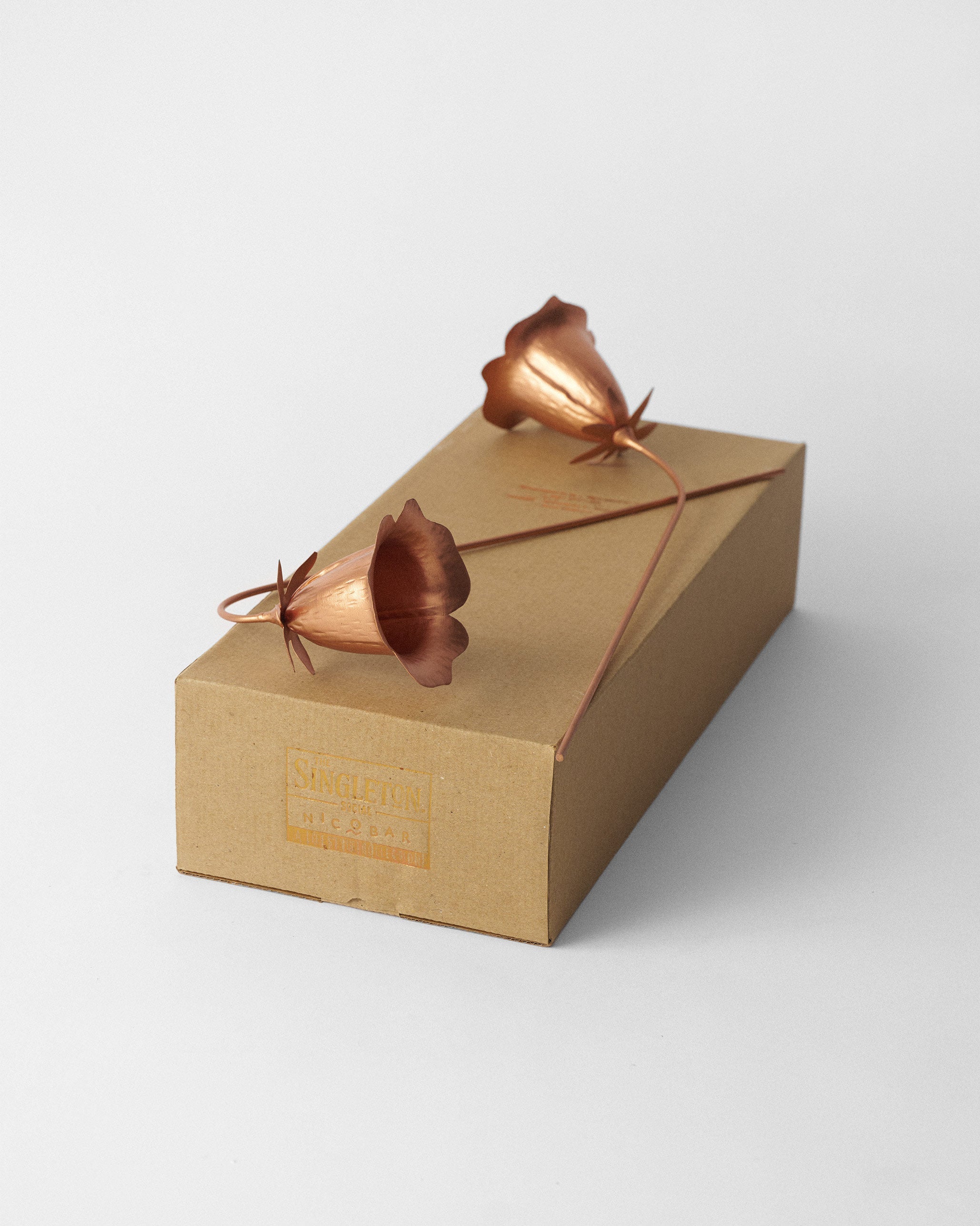 Dusk Accent - Set of 2 - TSSxNB