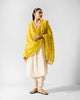 Anaya Dupatta - Chartreuse & Gold Embroidered