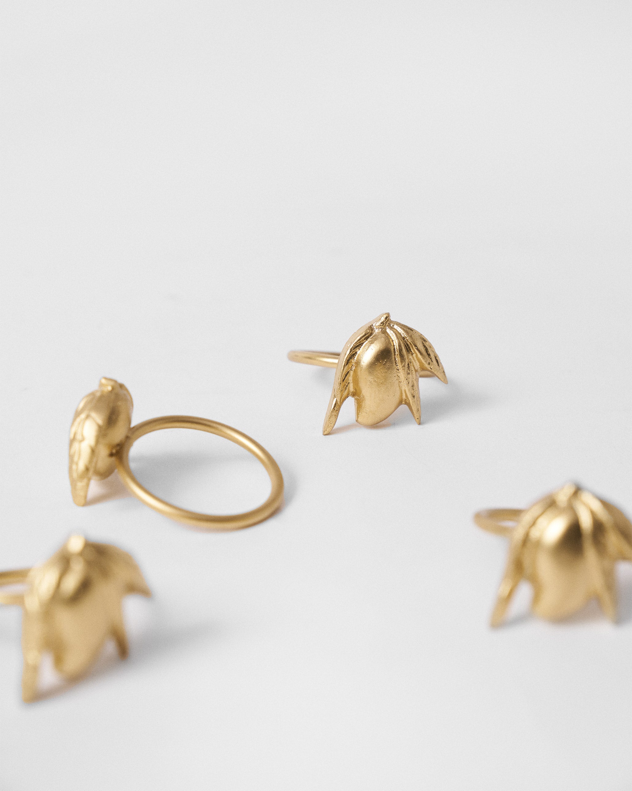 Ambi Napkin Ring - Set of 4