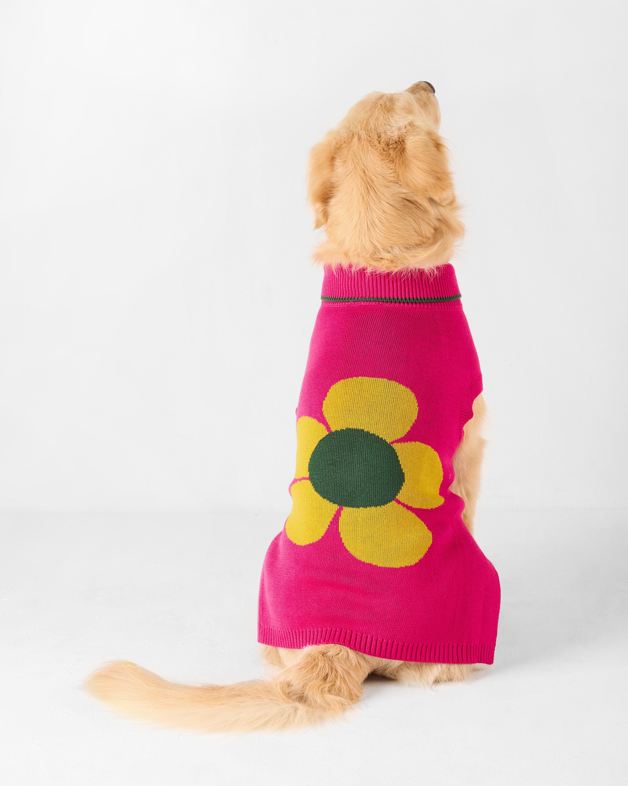 Bark Bloom Dog Sweater - Fuchsia