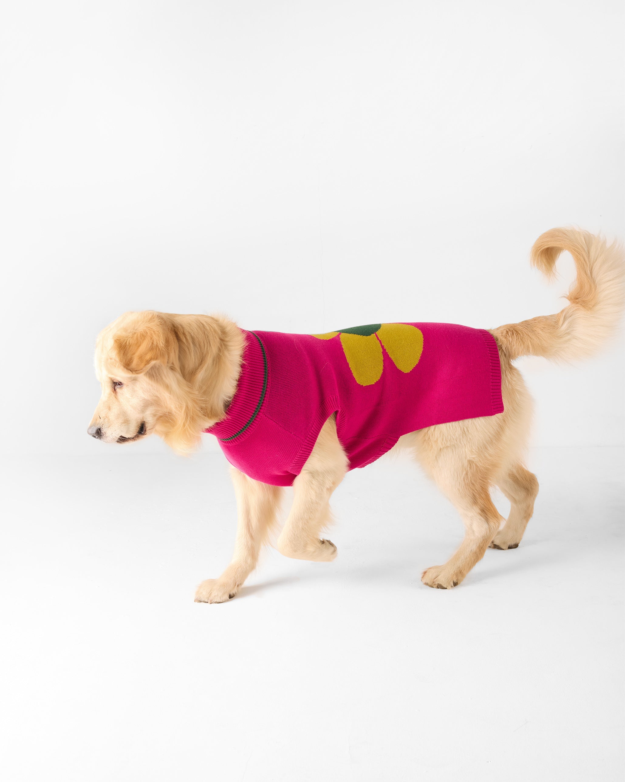 Bark Bloom Dog Sweater - Fuchsia
