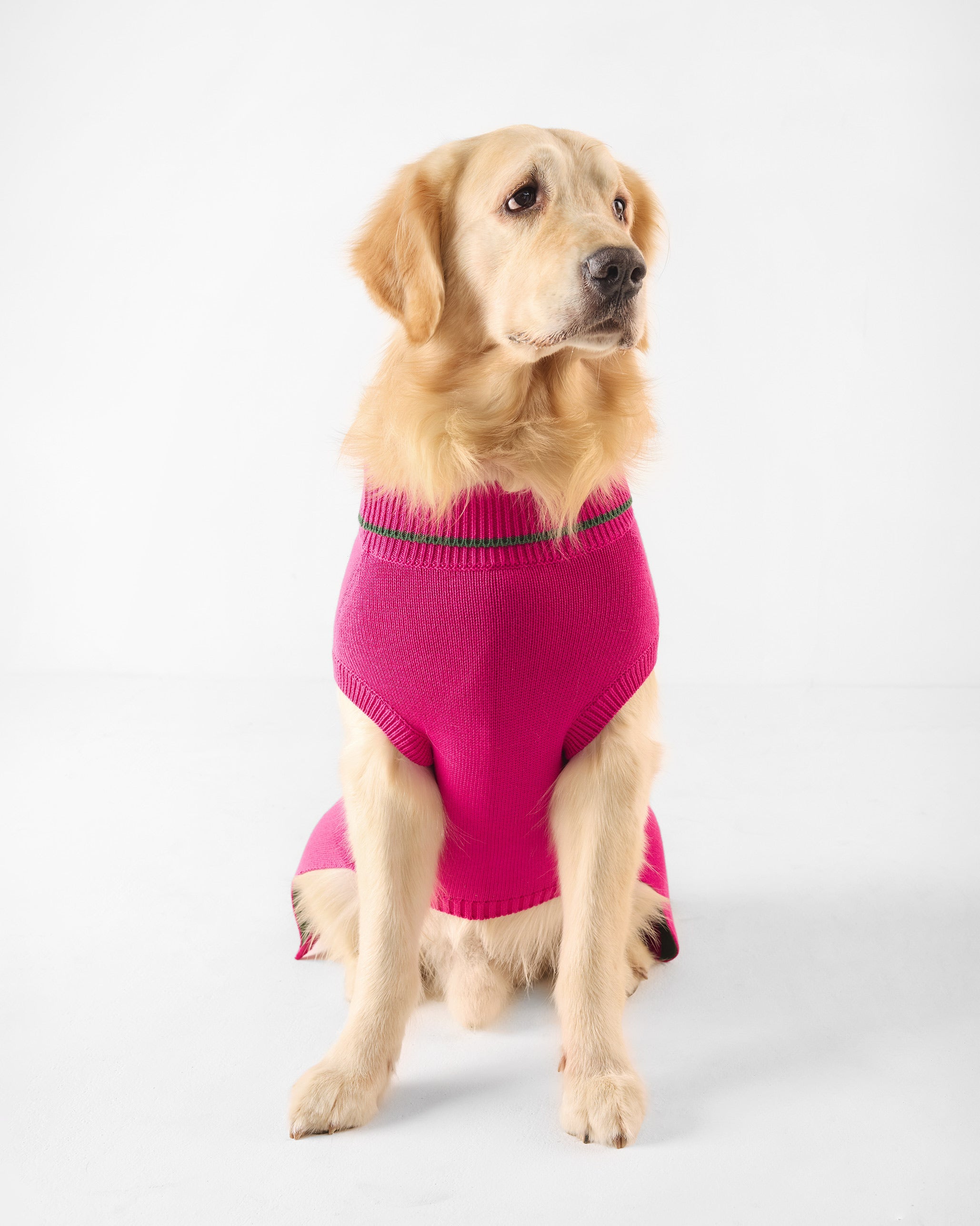 Bark Bloom Dog Sweater - Fuchsia