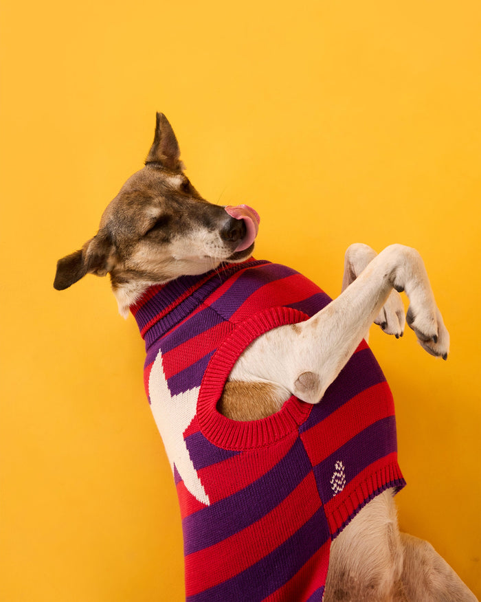 Cosmic Canine Dog Sweater - Red and purple