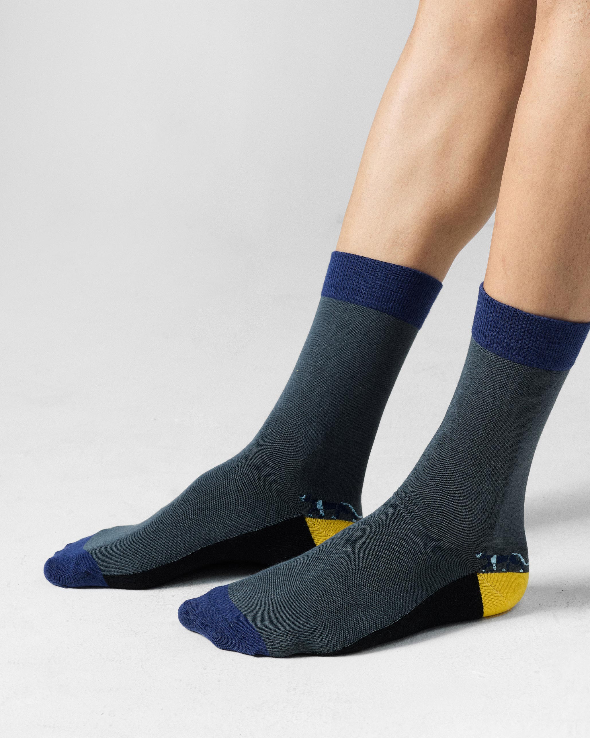 Men's Stride Socks - Charcoal & Riverside Blue