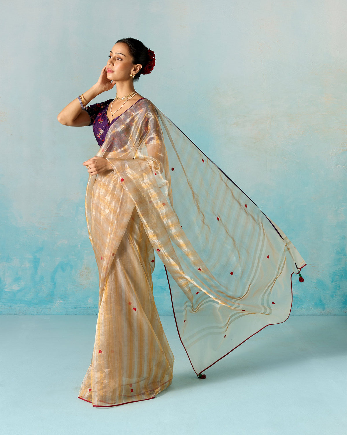 Vida Sari - Embroidered Tissue