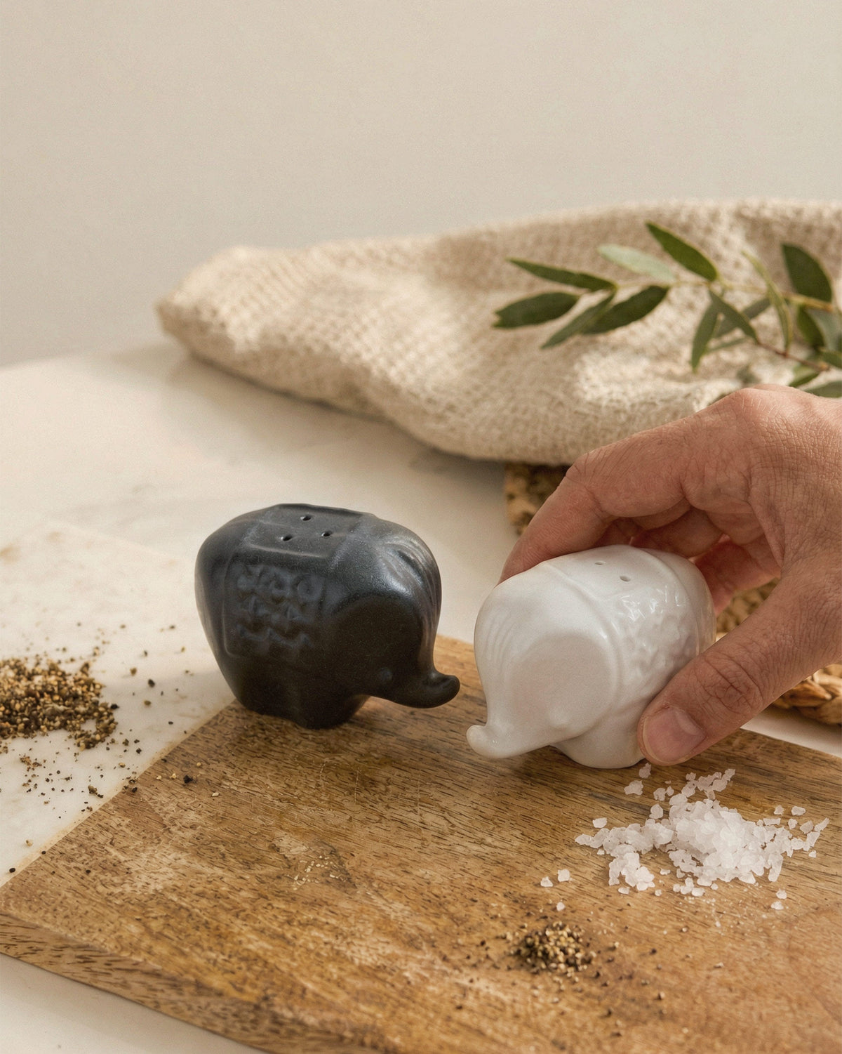 Hathi Salt & Pepper Shaker (Set of 2)