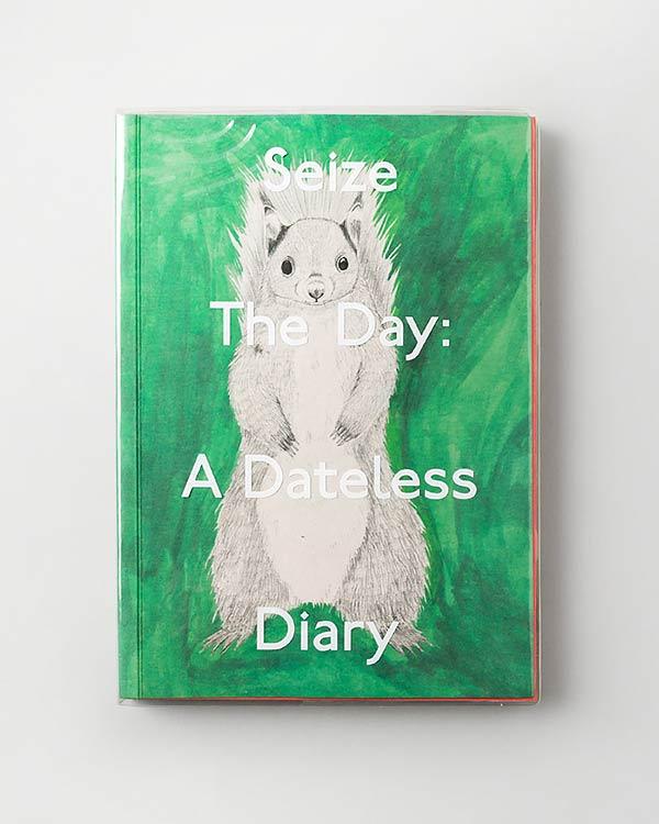 Seize the Day: A Dateless Planner (Diary)