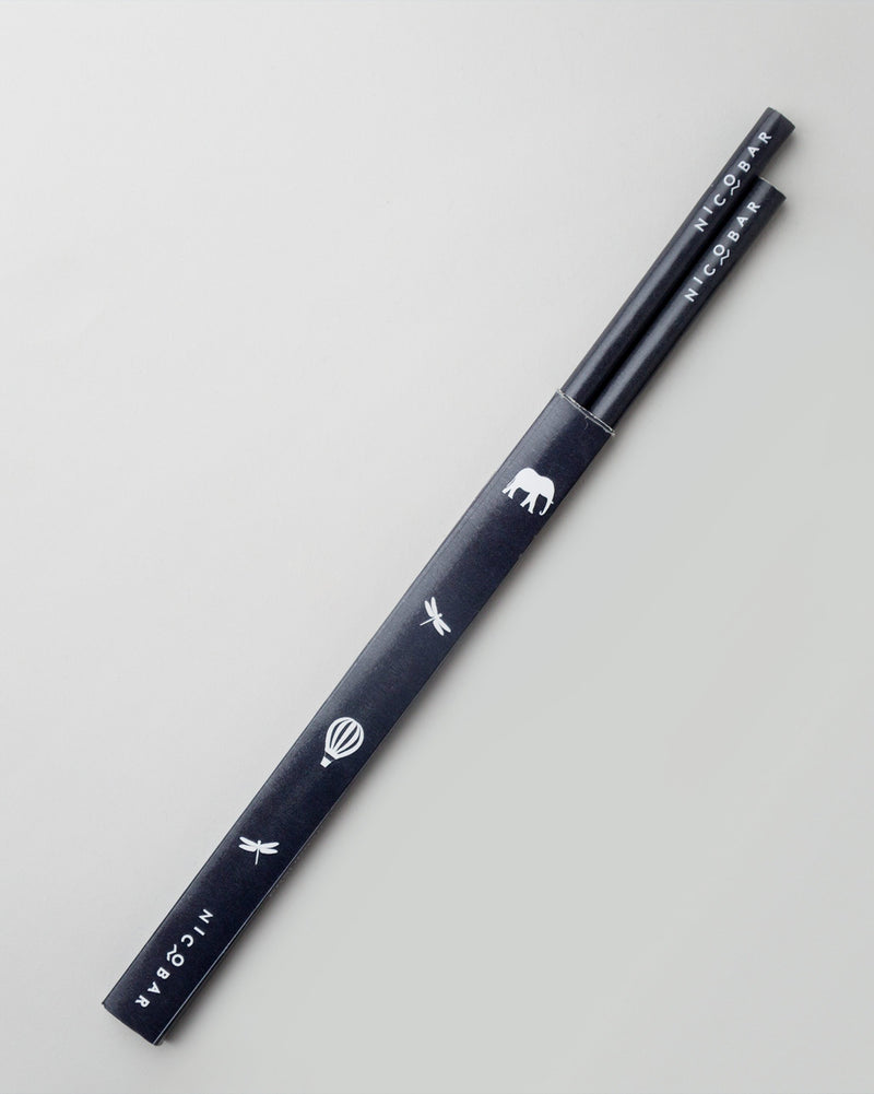 Icon Pencil (Set of 2)