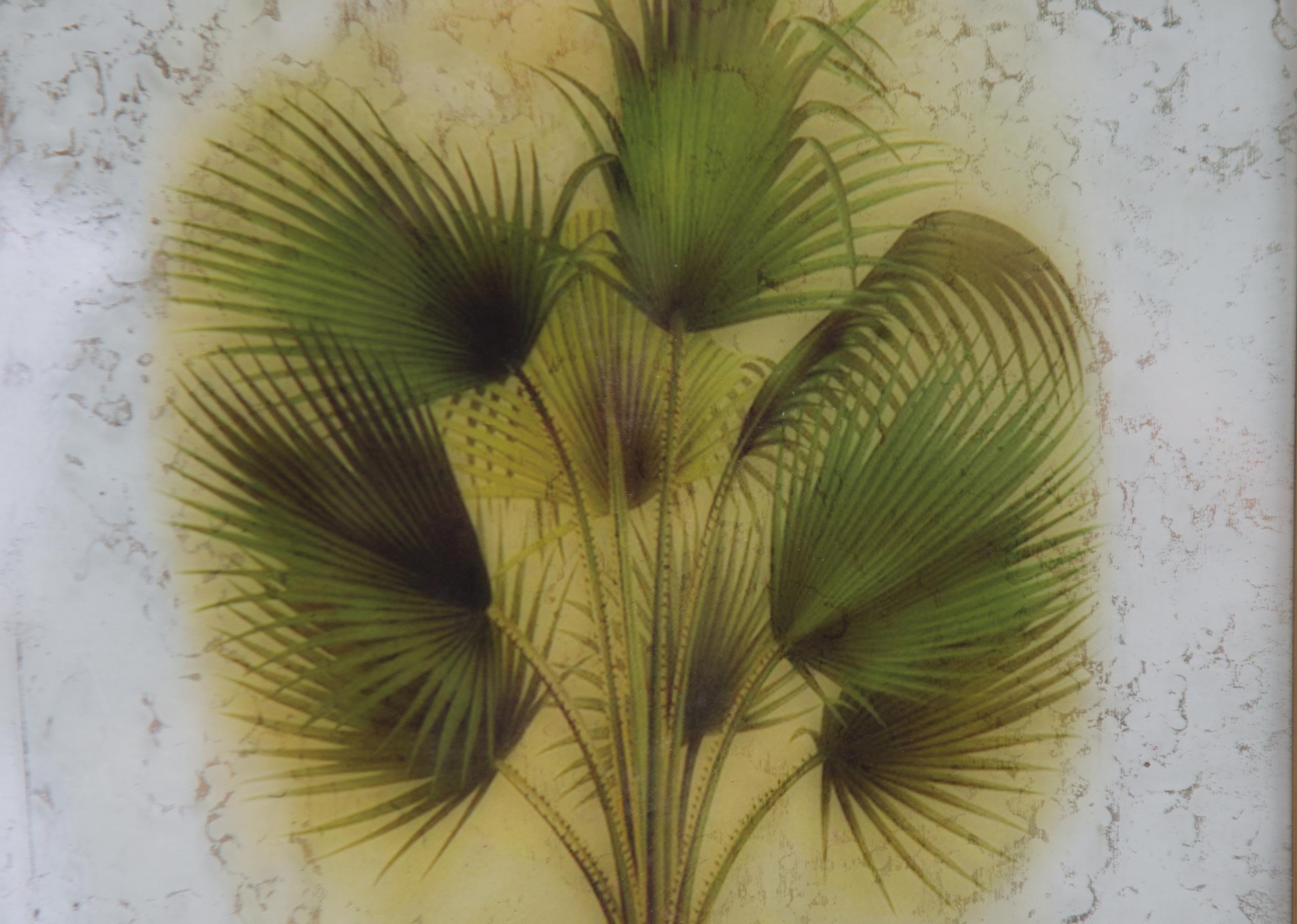 Vintage Palm Frame