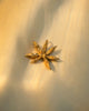 Star anise charm - large
